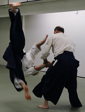 Sensei Michael Sheahon